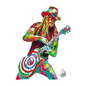 Zakk Wylde Black Label Society Ozzy Guitar Rock Music Poster Print Art 13x19